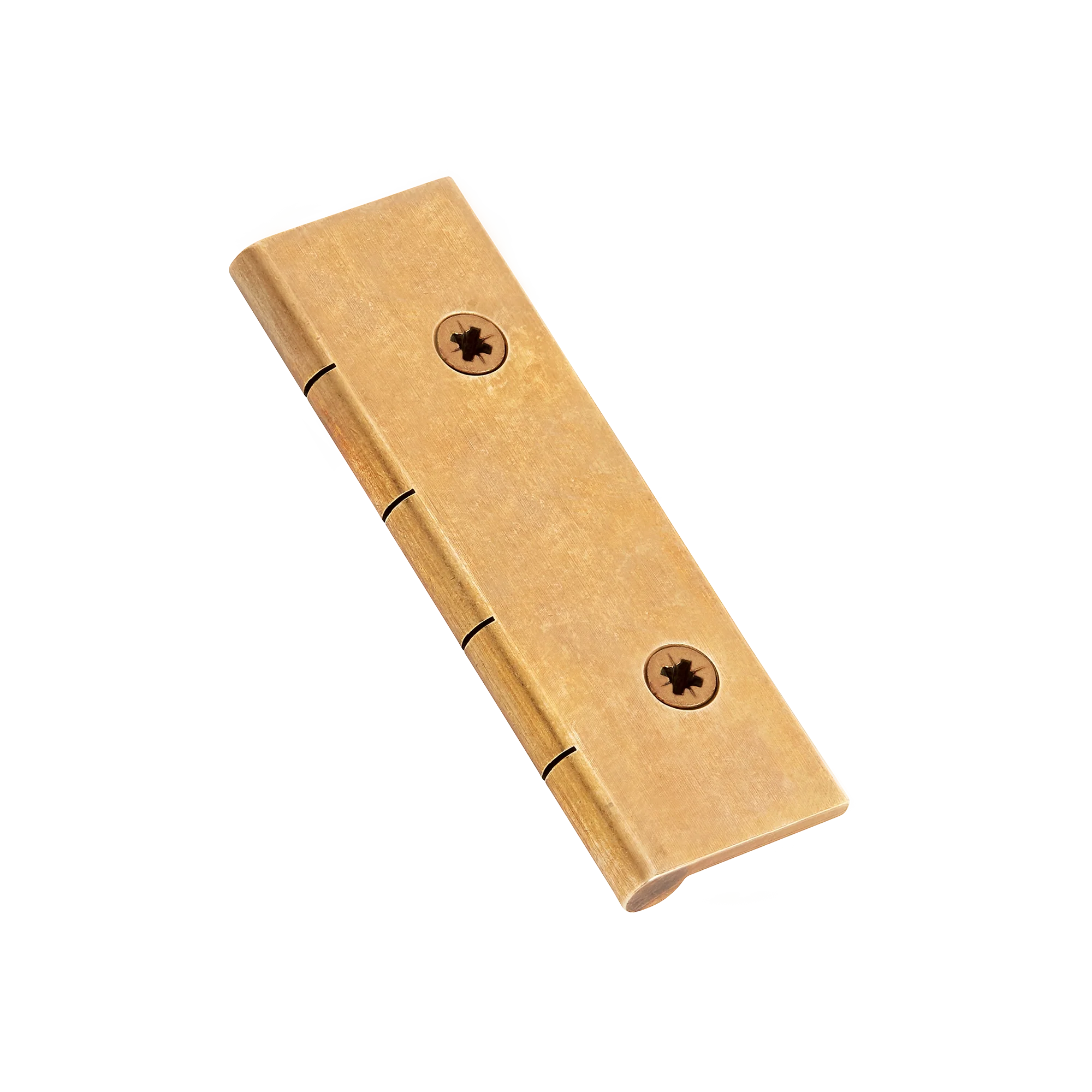 Armac Martin Dummy Hinge (Pair of) With Pozi Screws