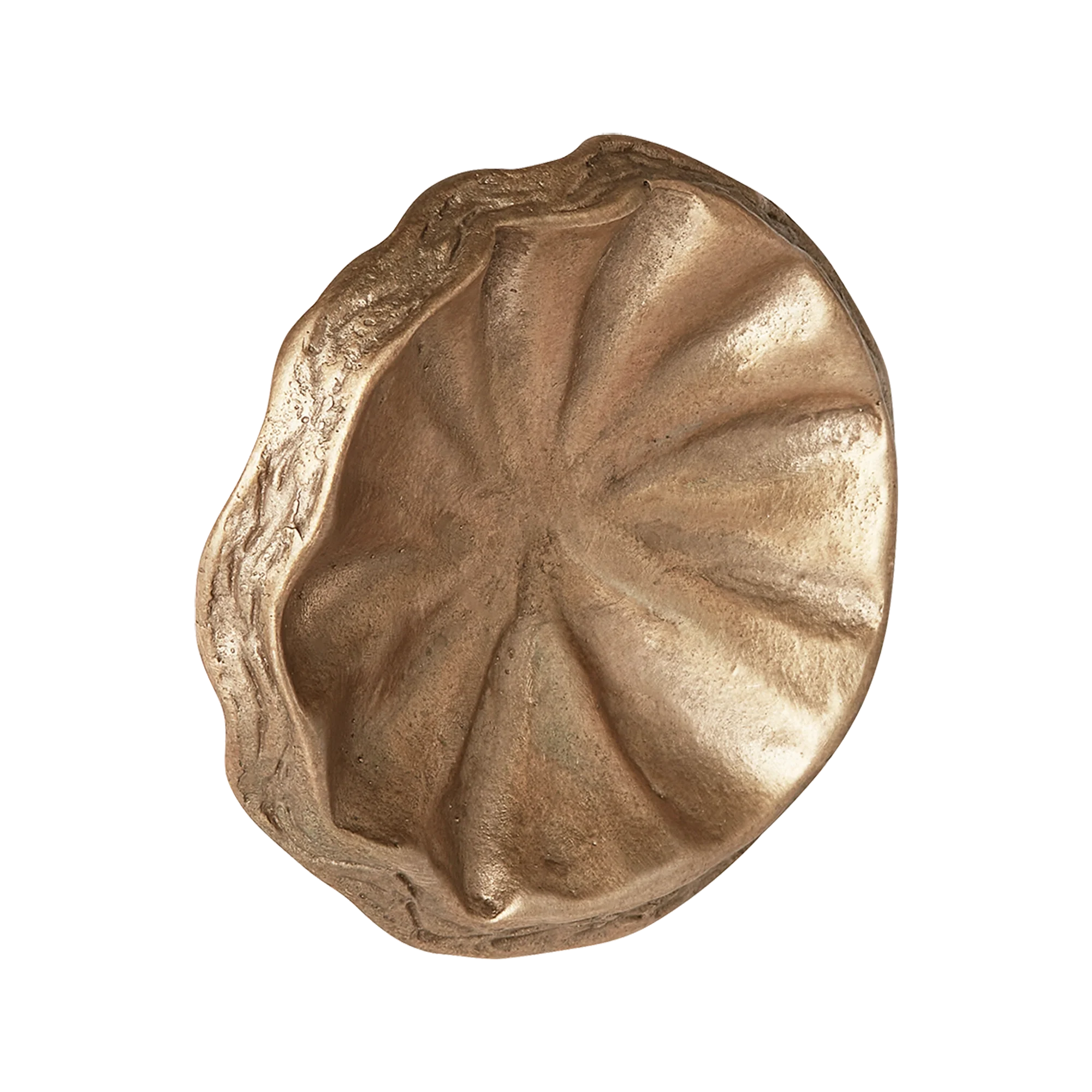 Armac Martin Whimsical Tutu Bronze Wall Hook