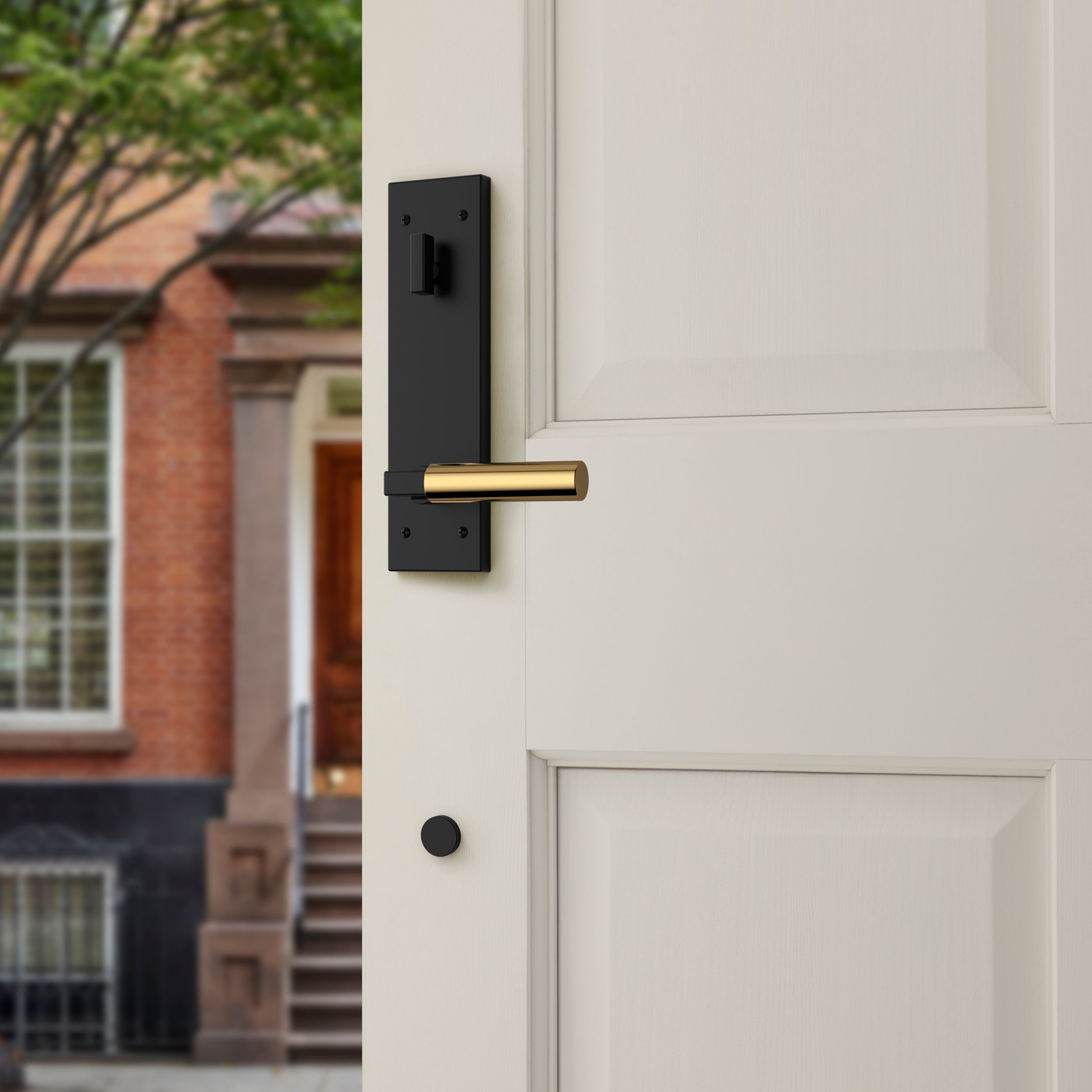 Baldwin Gramercy Egress Mixed Finish Handleset with L029 Lever