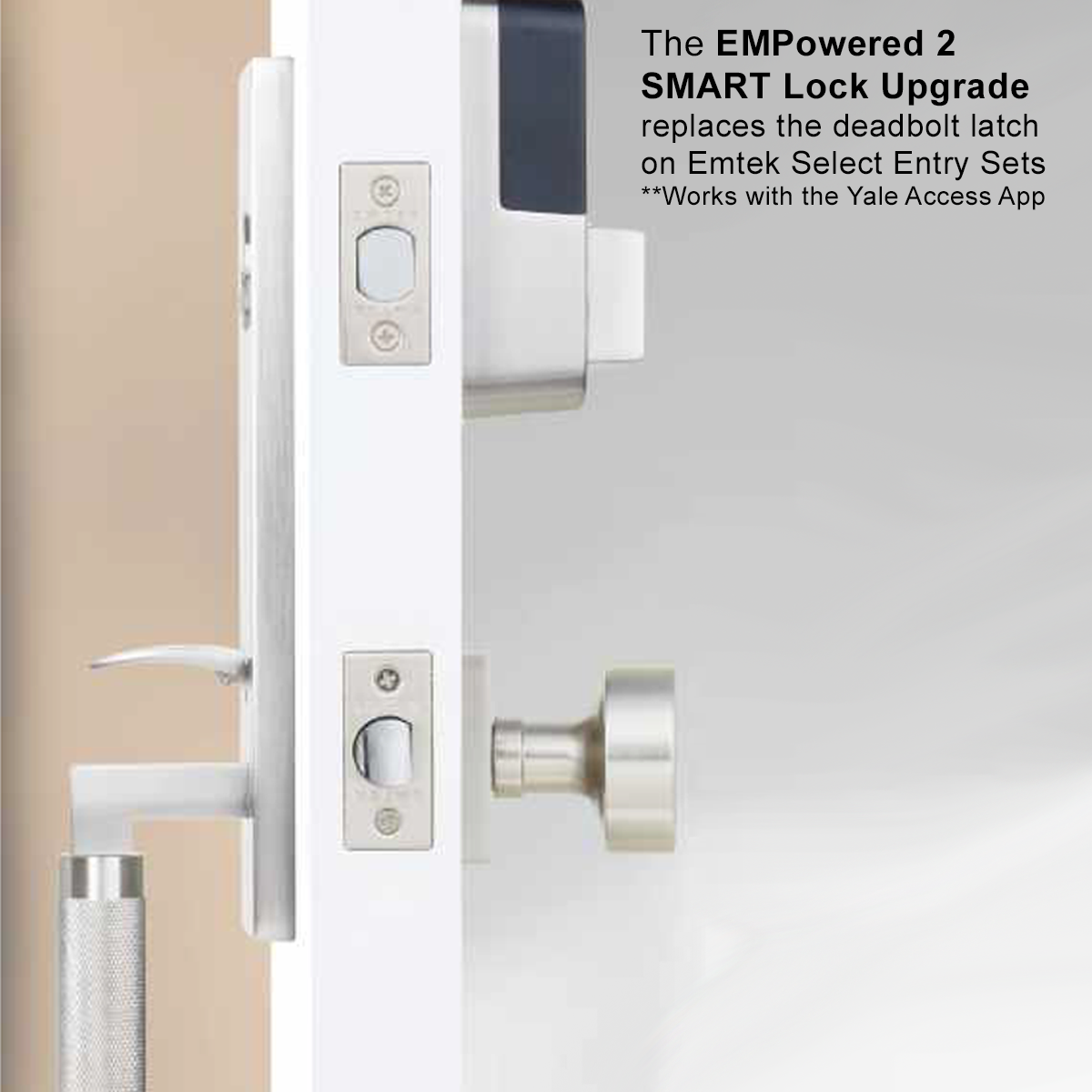 Emtek Arts & Crafts Tubular Entryset Monolithic with Ribbon & Reed Lever