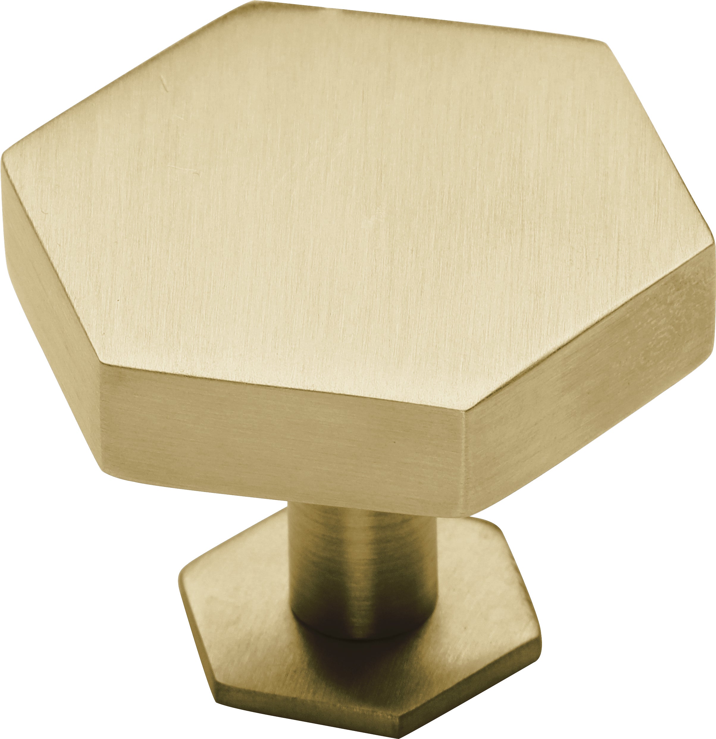 Ashley Norton Modern Hex Cabinet Knob with Rosette