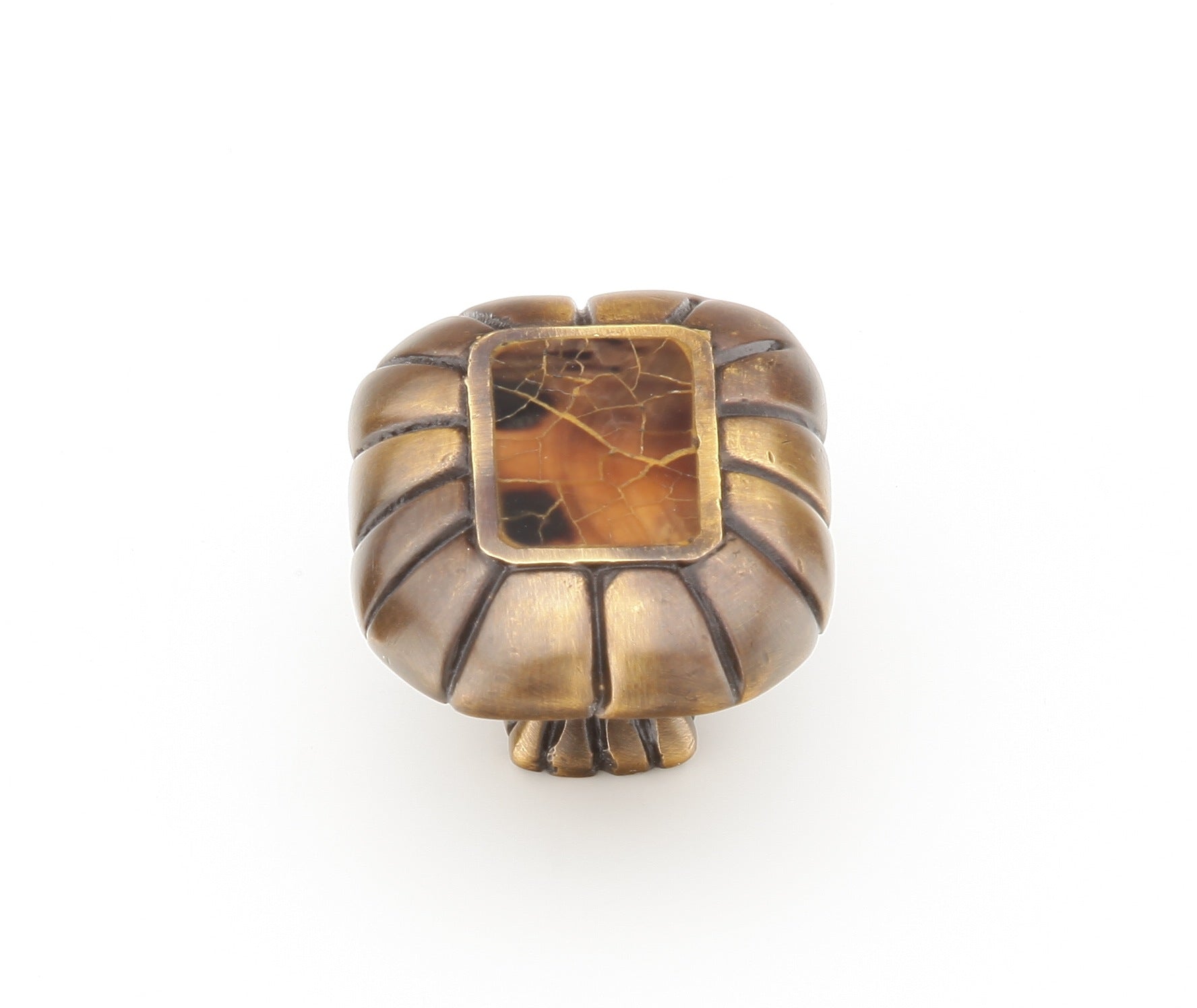 Tiger Penshell Rectangle Knob by Schaub - Estate Dover - New York Hardware
