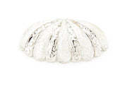 Mother of Pearl Cup Pull by Schaub - Polished Nickel - New York Hardware