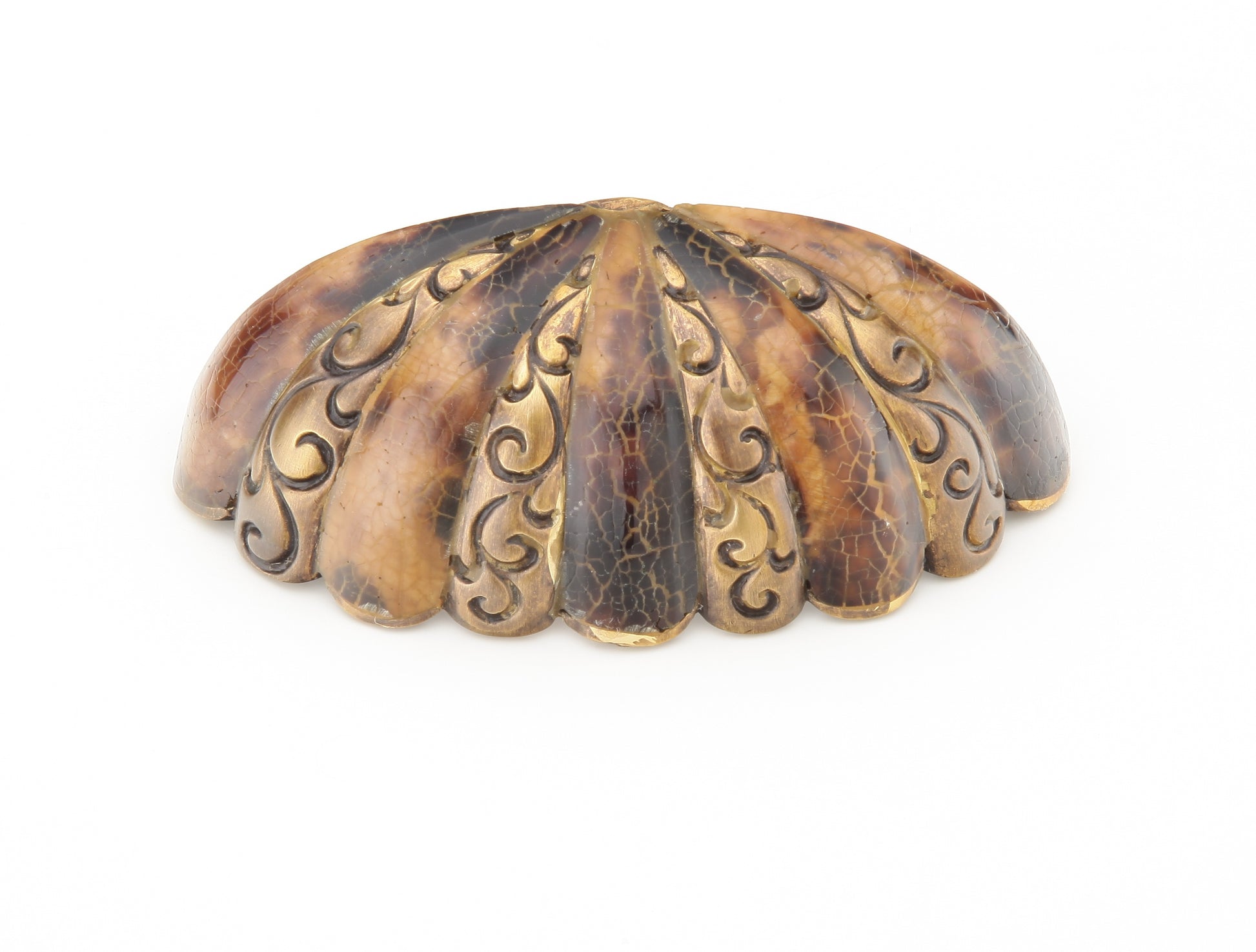 Tiger Penshell Cup Pull by Schaub - Estate Dover - New York Hardware