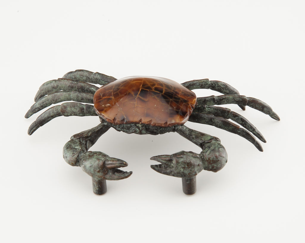 Nature Sea Crab Pull by Schaub - Tiger Penshell - New York Hardware