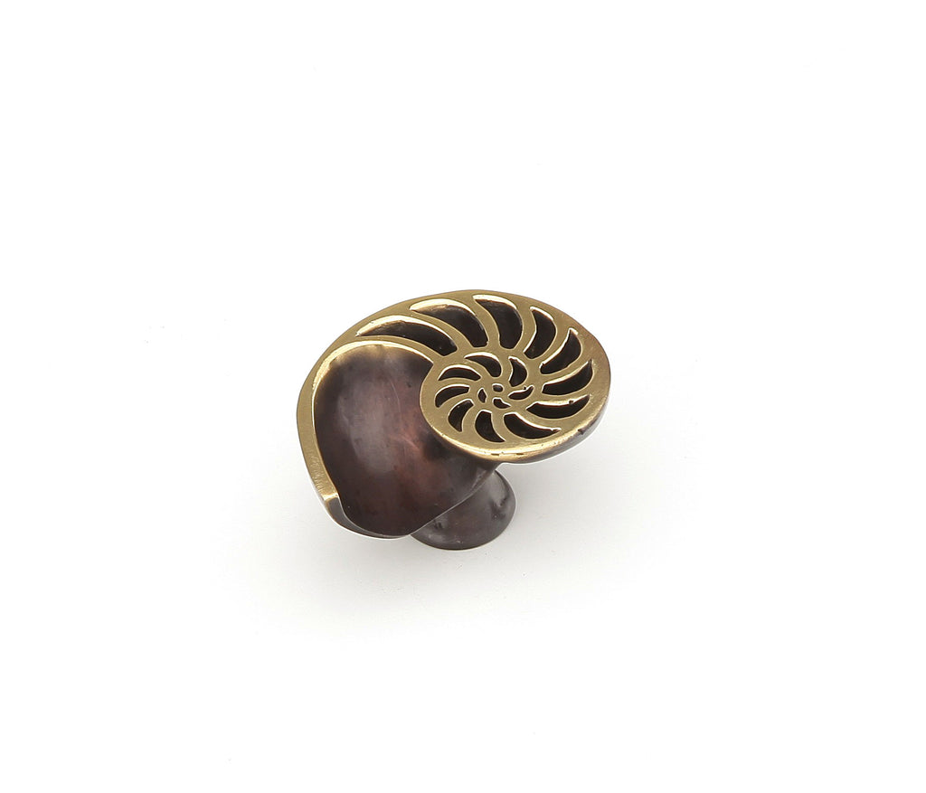 Nature Shell Knob Right by Schaub - Dark Bronze - New York Hardware