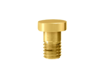 Extended Button Tip for Solid Brass Hinges - PVD - Polished Brass - New York Hardware Online