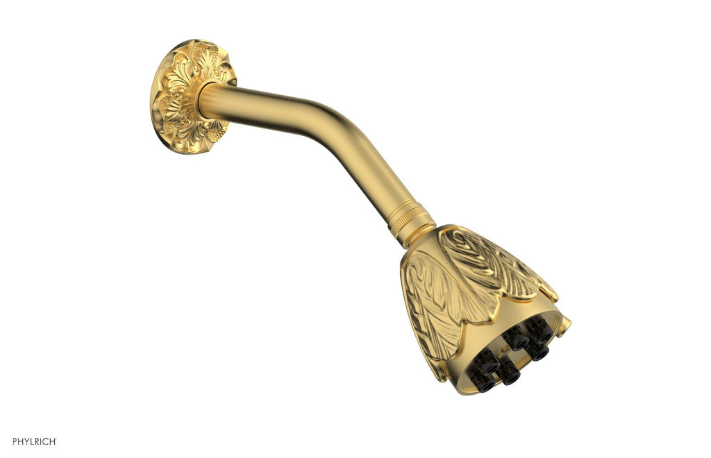 6 Jet EMPIRE Shower Head by Phylrich - Burnished Gold